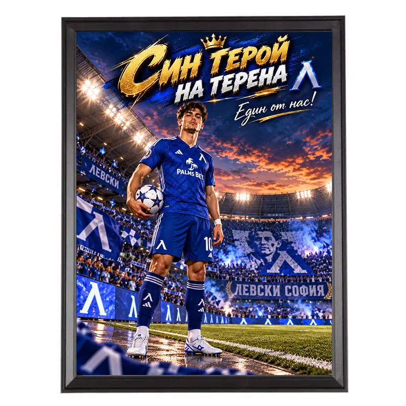 Карикатура за Фен на Левски - Син Герой на Терена